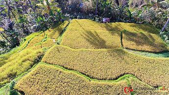 Capung Sakti Villas – By Fair Future Foundation