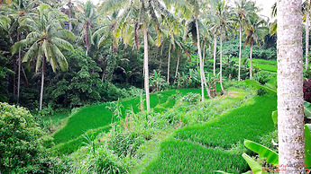 Capung Sakti Villas – By Fair Future Foundation