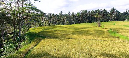 Capung Sakti Villas – By Fair Future Foundation