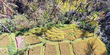 Capung Sakti Villas – By Fair Future Foundation