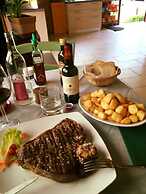 Camping Village Mugello Verde