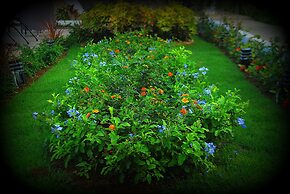 Hotel Playa Catalina