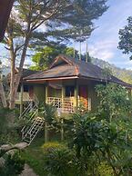 Khao Sok Jungle Huts