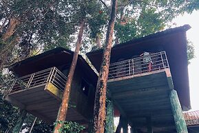 Khao Sok Jungle Huts