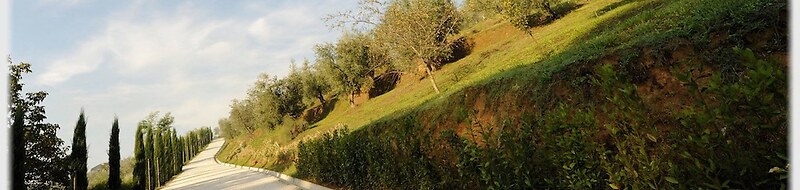 Il Borghetto Andrea Tafi