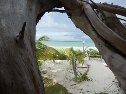 Cote d'Or Footprints