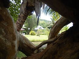 Cote d'Or Footprints