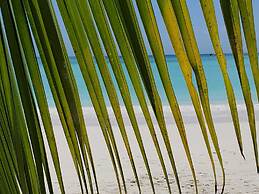 Cote d'Or Footprints
