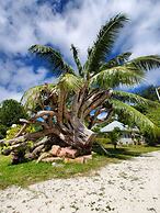 Cote d'Or Footprints