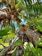 Cote d'Or Footprints