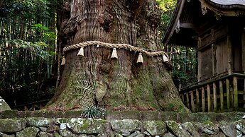 Japanese Onsen Ryokan Yufuin Tabinokura
