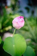 Secret Garden Beach Resort