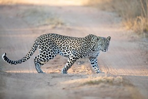 Mhondoro Safari Lodge & Villa
