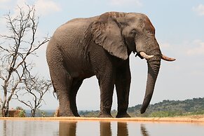 Mhondoro Safari Lodge & Villa