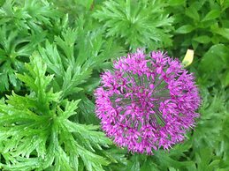 Auberge sur la Côte