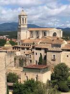 AS Palau dels Alemanys