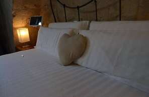 AS Palau dels Alemanys