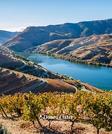 Douro Cister Hotel Resort Rural & Spa