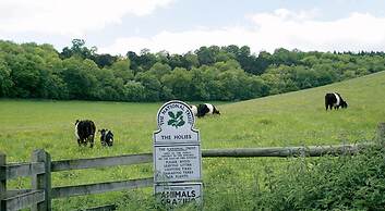 YHA Streatley - Hostel