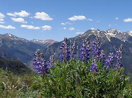 Ouray Inn
