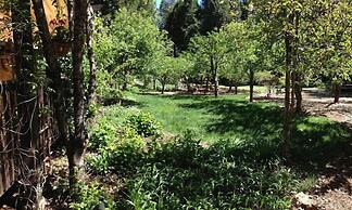Harmony Ridge Lodge