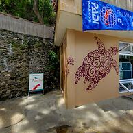 El Galleon Beach Resort Asia Divers