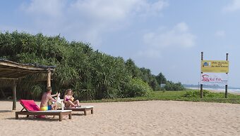 Palm Beach Inn and Sea Shells Cabanas