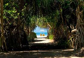 Palm Beach Inn and Sea Shells Cabanas
