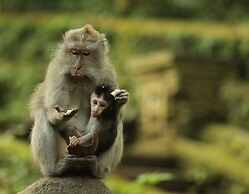 Mandapa, a Ritz-Carlton Reserve