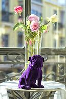 Purple Dog Suites