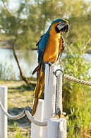 Mas de la Fouque Hôtel & Spa