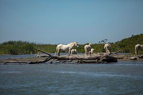 Mas de la Fouque Hôtel & Spa