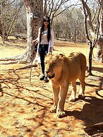 Oriental Swan Hotel Livingstone