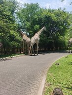 Oriental Swan Hotel Livingstone