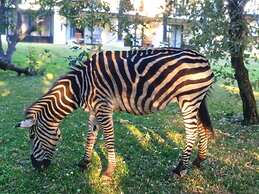 Oriental Swan Hotel Livingstone