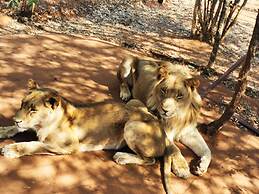 Oriental Swan Hotel Livingstone