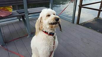 Taneycomo Lakefront Resort