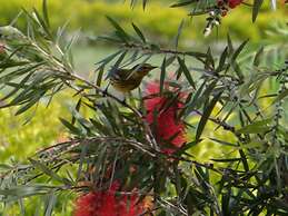 Altocerro Villas Hotel & Camping