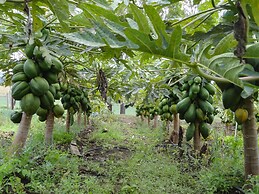 Altocerro Villas Hotel & Camping