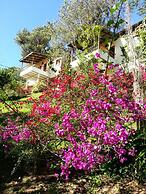 Altocerro Villas Hotel & Camping