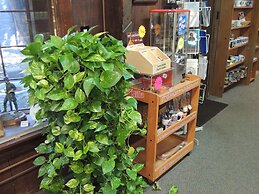 Historic Farnsworth House Inn