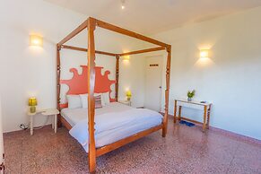 Seclude Palampur - Himachal Pradesh