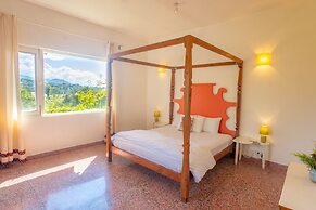 Seclude Palampur - Himachal Pradesh