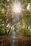 TUK Tropical Boutique Resort Jan Thiel