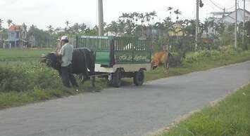 Lila Homestay Hoi An