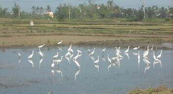 Lila Homestay Hoi An