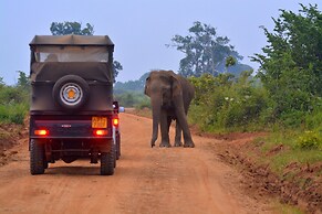 Pavana Resort