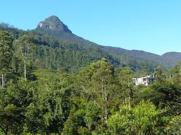 White House Adam's Peak