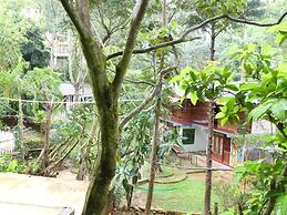 White House Adam's Peak