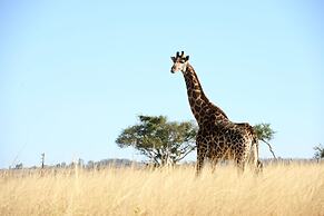 Tomjachu Bush Retreat